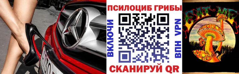 купить  цена  Йошкар-Ола  Галлюциногенные грибы ЛСД 
